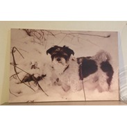 Picture canvas white board  20cm x 30cm